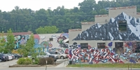dlm_317