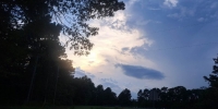 1_11111111image000004